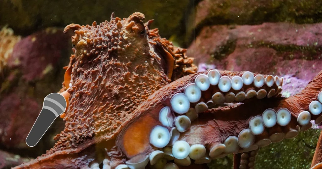 Photo of a giant Pacific octopus with an illustrated microphone superimposed next to its mouth.