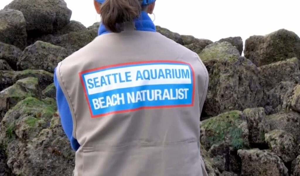 A person standing in front of a large rock; they are wearing a tan vest that reads "Seattle Aquarium Beach Naturalist" across the back.
