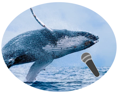 Photo of a humpback whale breaching out of the ocean with an illustrated microphone superimposed next to the whale's mouth.