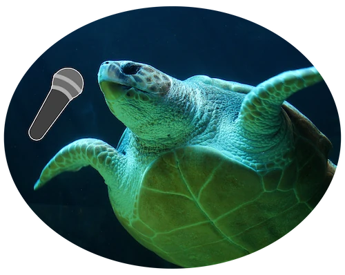 Photo of a sea turtle swimming underwater with an illustrated microphone superimposed next to the turtle's mouth.