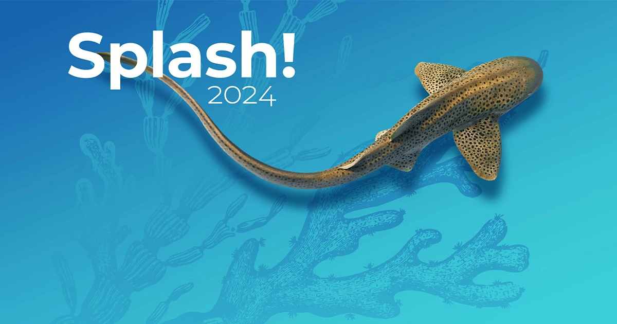 Photo of an Indo-Pacific leopard shark superimposed over an illustration of coral, featured image of the Seattle Aquarium's Splash! 2024 event.