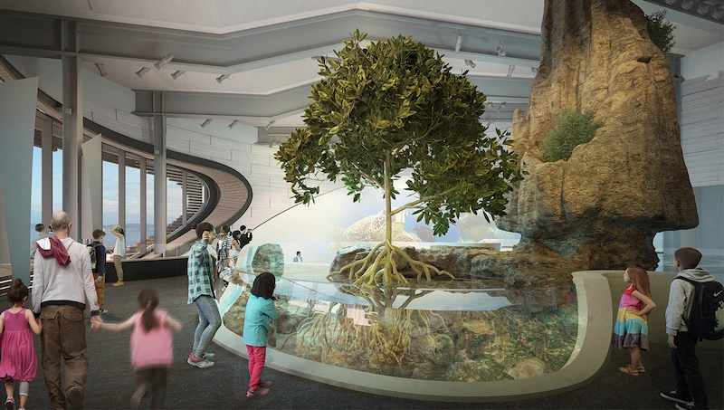 Rendering of The Archipelago, a new habitat experience area of the Seattle Aquarium's future Ocean Pavilion, with guests looking at a mangrove tree and animals. A large rock formation lifts up out of the habitat towards the ceiling.