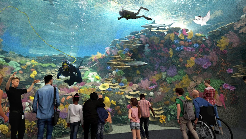 Rendering depicting multiple guests watching scuba divers and animals underwater in a large tropical underwater habitat, a featured part of the Seattle Aquarium's new Ocean Pavilion.
