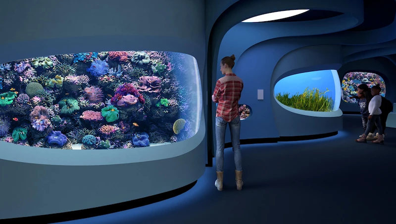 A rendering showing guests looking at coral habitats inside the Seattle Aquarium's new Ocean Pavilion.