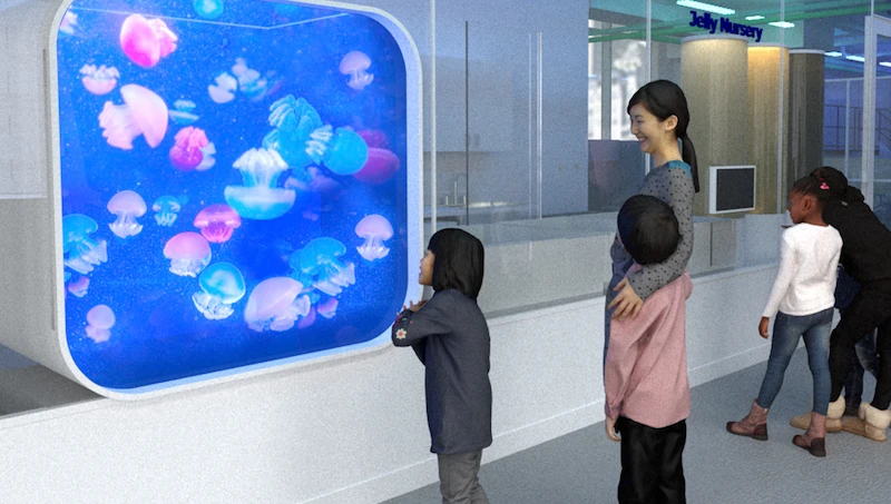 Rendering showing guests of different ages seeing jellies up close in an area of the Seattle Aquarium's new Ocean Pavilion.