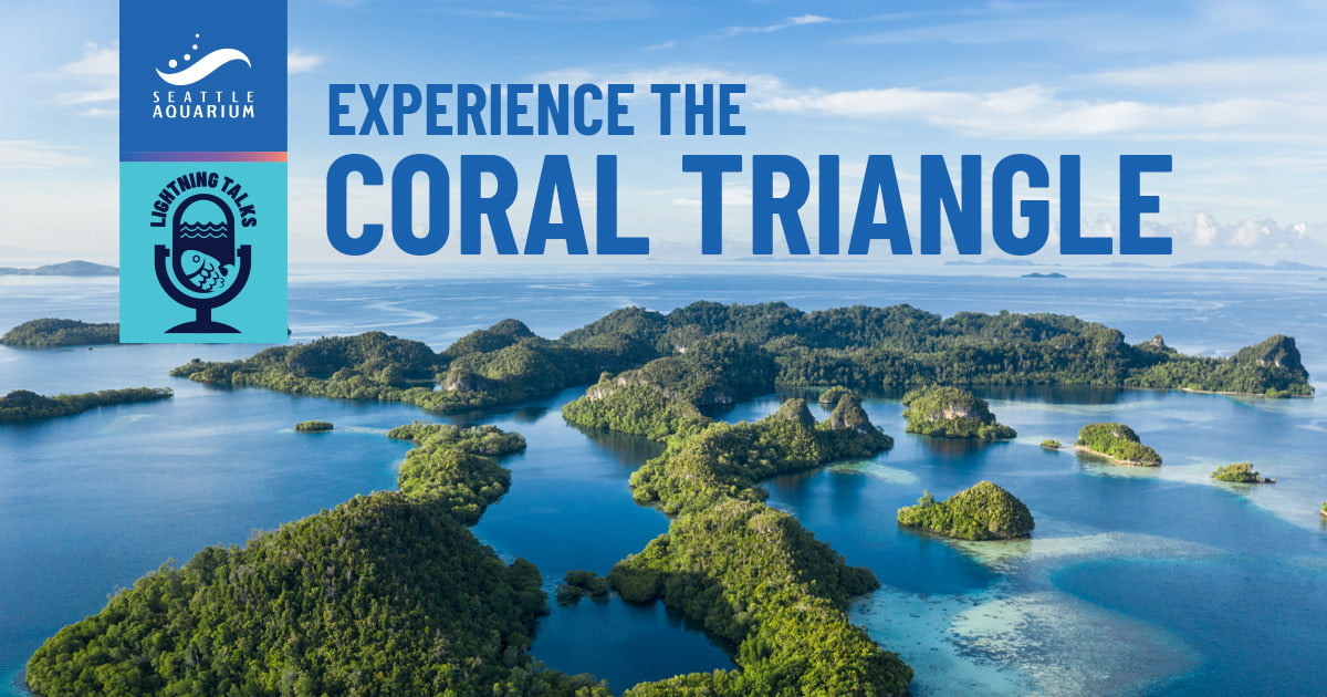 Lightning Talks: Experience the Coral Triangle event image