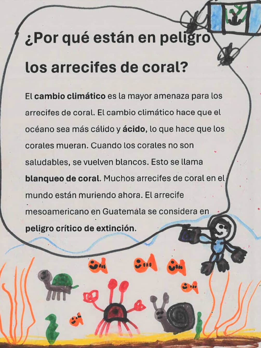 The page of a paper book illustrated with a crab, turtle, snail, fish, coral, kelp and a diver. The page reads "¿Por qué están an peligro los arrecifes de coral? El cambio climático es la mayor amenaza para los arrecifes de coral. El cambio climático hace que el océano sea más cálido y ácido, lo que hace que los corales mueran. Cuando los corales no son saludables, se vuelven blancos. Esto se llama blanqueo de coral. Muchos arrecifes de coral en el mundo están muriendo ahora. El arrecife mesoamericano en Guatemala se considera en peligro crítico de extinción."