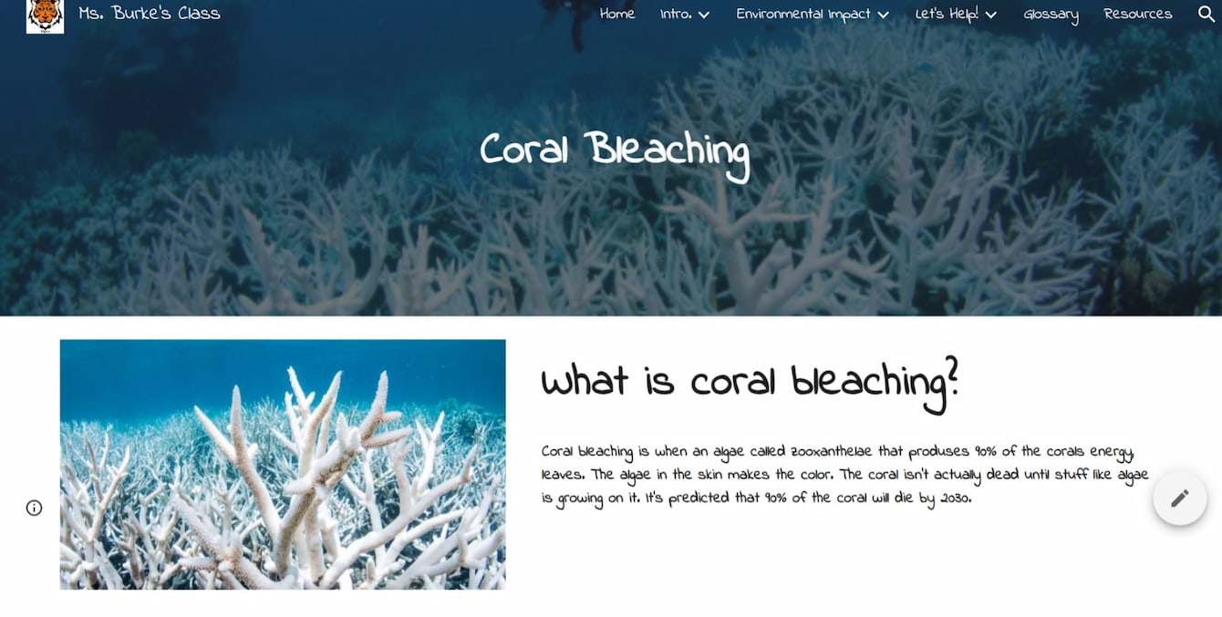 A screenshot of Talbot Elementary's coral website. The screenshot shows a page about coral bleaching.