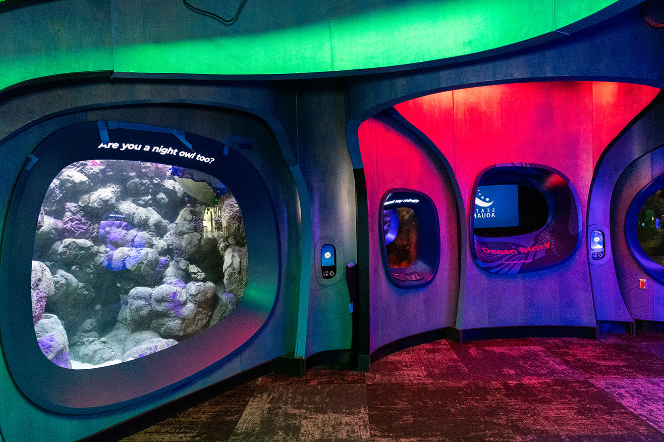 3, 2, 1…Ocean Pavilion!