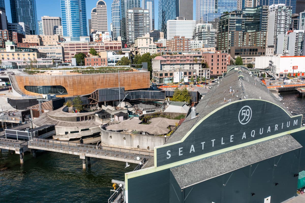 15 Beautiful Things to Do in Seattle on Your First Visit 2026, image size:1200x799