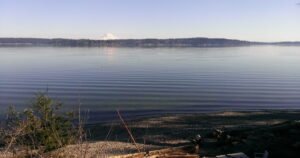Ripples across the Salish Sea. A mountain can be seen in the background.