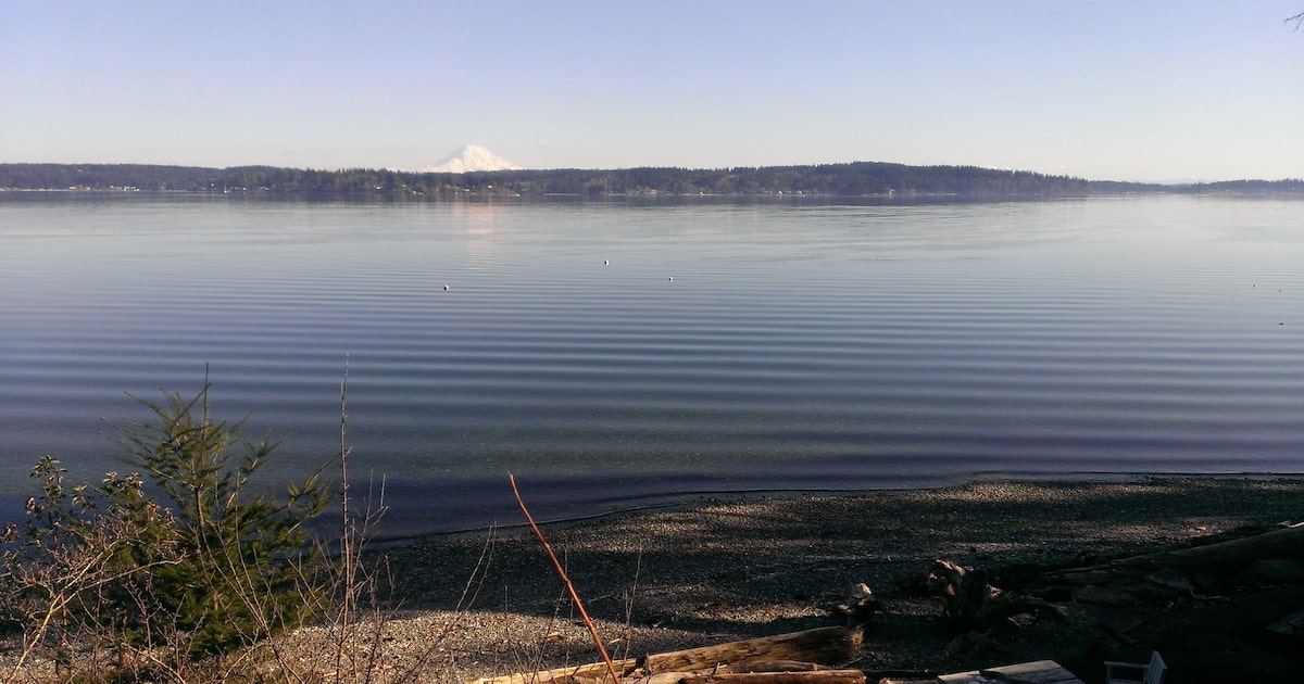 The ripple effect: Former youth volunteers make conservation a career, part 2