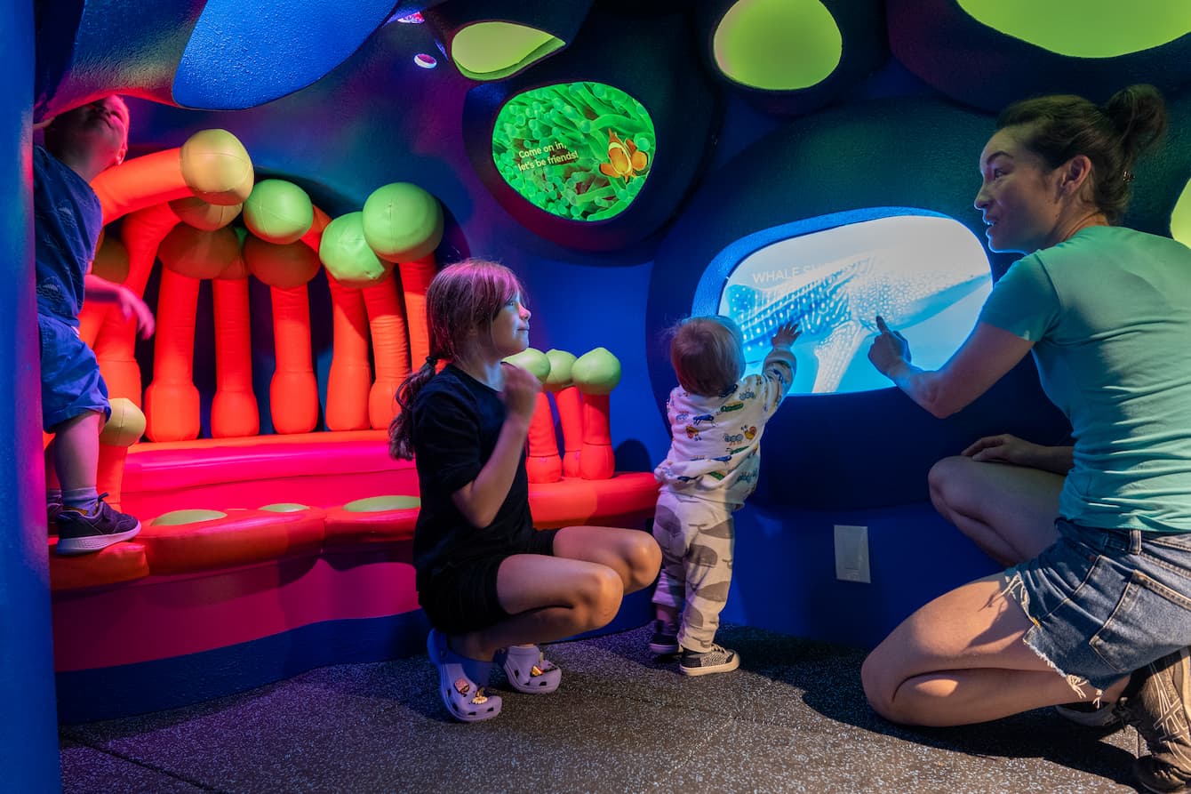Three children and an adult interacting with the brightly-colored Coral Reef Encounter area in the Ocean Pavilion.