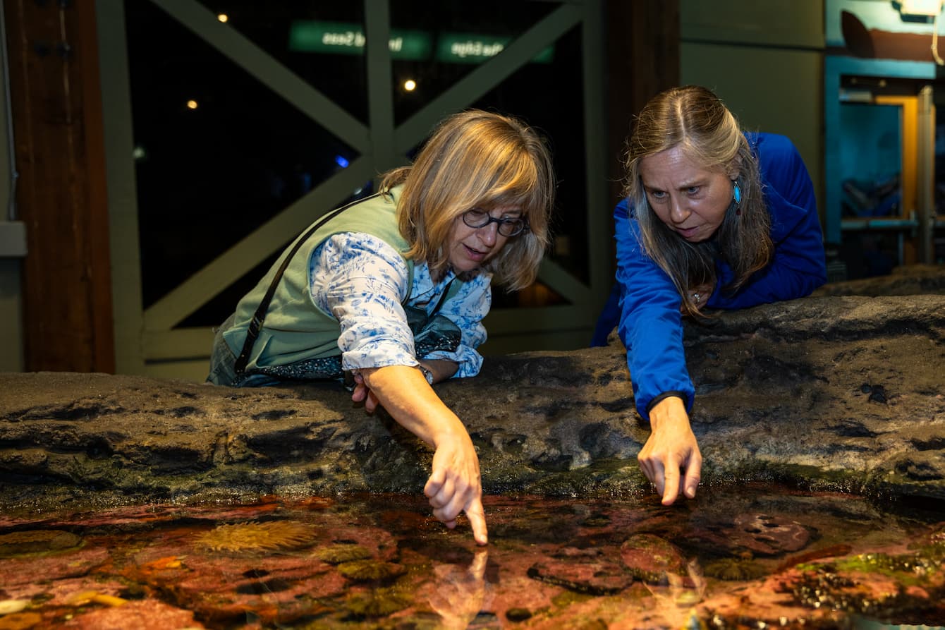 An Aquarium volunteer and a teacher interacting with the touch pools.