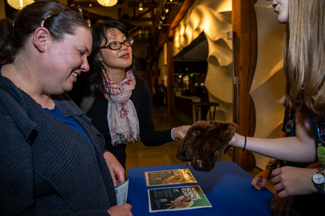 Two teachers speaking with an Aquarium volunteer while feeling an otter pelt.