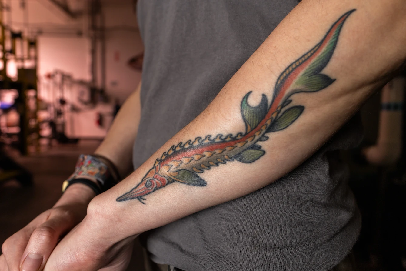 A close-up of the tattoo on Casey's outer left forearm: a stylized red-and-green illustration of a pallid sturgeon that stretches from her elbow to her wrist.