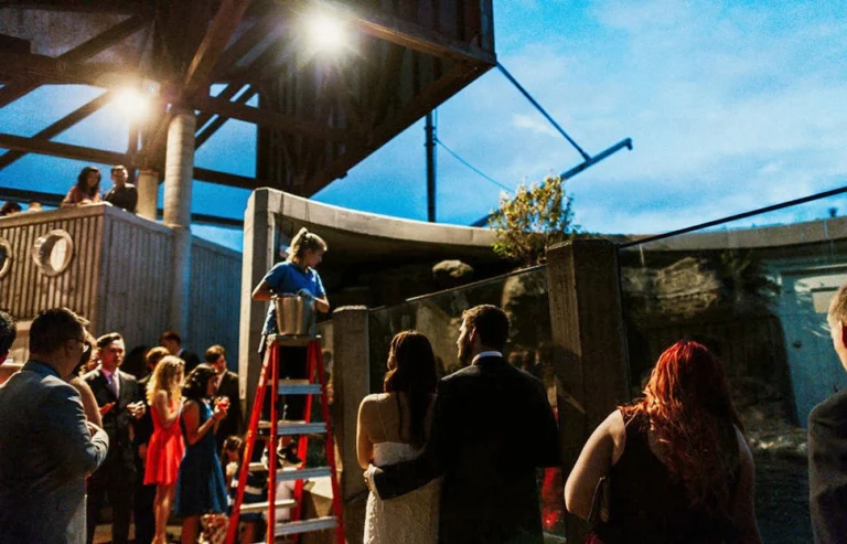 Wedding guests standing around the sea otter habitat at the Seattle Aquarium watching an Aquarium staff member, who is standing on a ladder with a large metal bucket, conduct a sea otter feed.