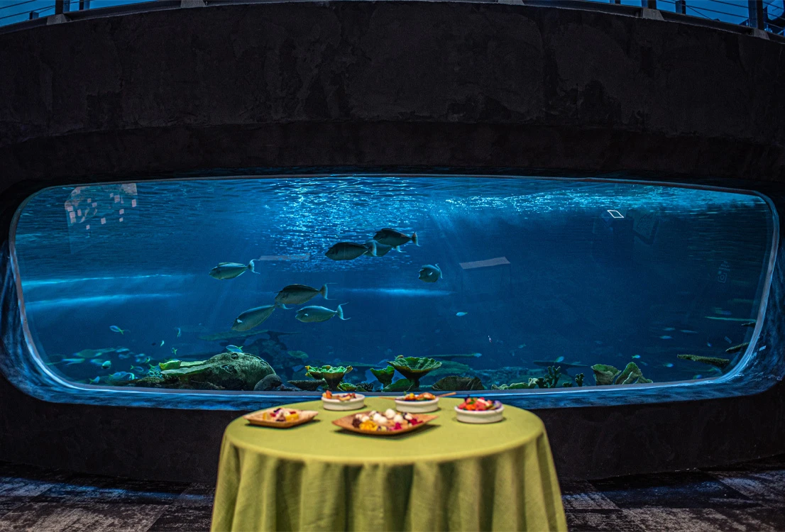 A decorated tall circular table placed in front of a viewing window into the Ocean Pavilion's Reef habitat. Different plates of food have been placed on the table. Tropical fish can be seen swimming inside the habitat through a large viewing window.