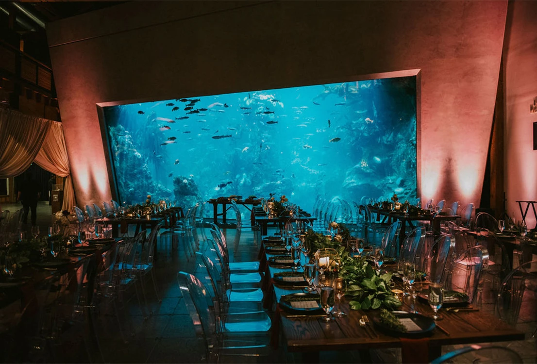 Tables and chairs set up for a formal event in front of the Window on Washington Waters habitat at the Seattle Aquarium. The large glass window of the habitat showcases different fish swimming underwater.