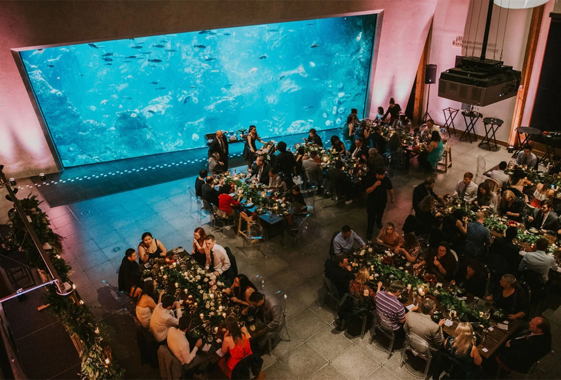 Wedding guests sitting at different long rectangular decorated tables for a dinner service in the Puget Sound Hall at the Seattle Aquarium. A large viewing window into the underwater Window on Washington Waters habitat is near, with a variety of fish swimming through the habitat.