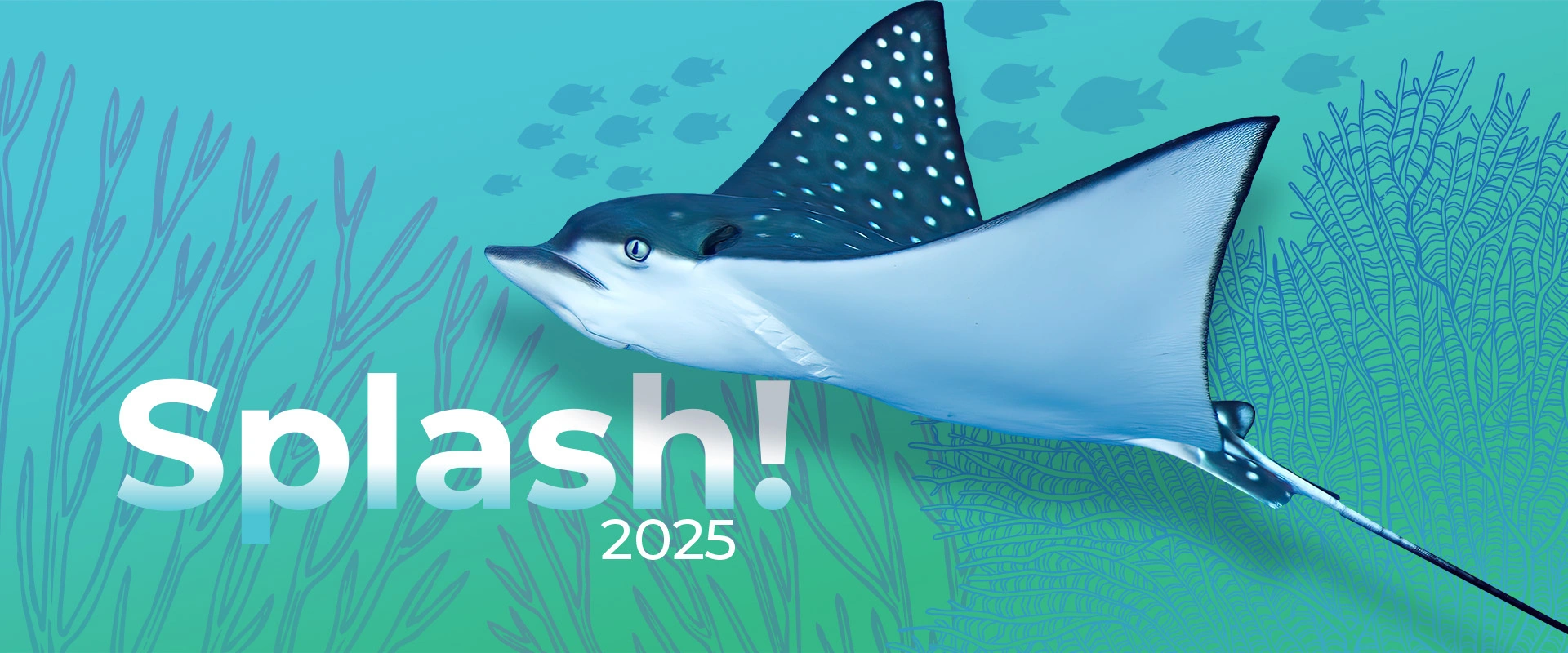 A spotted eagle ray over a blue and green gradient background. White text reading "Splash! 2025" is on the left side.