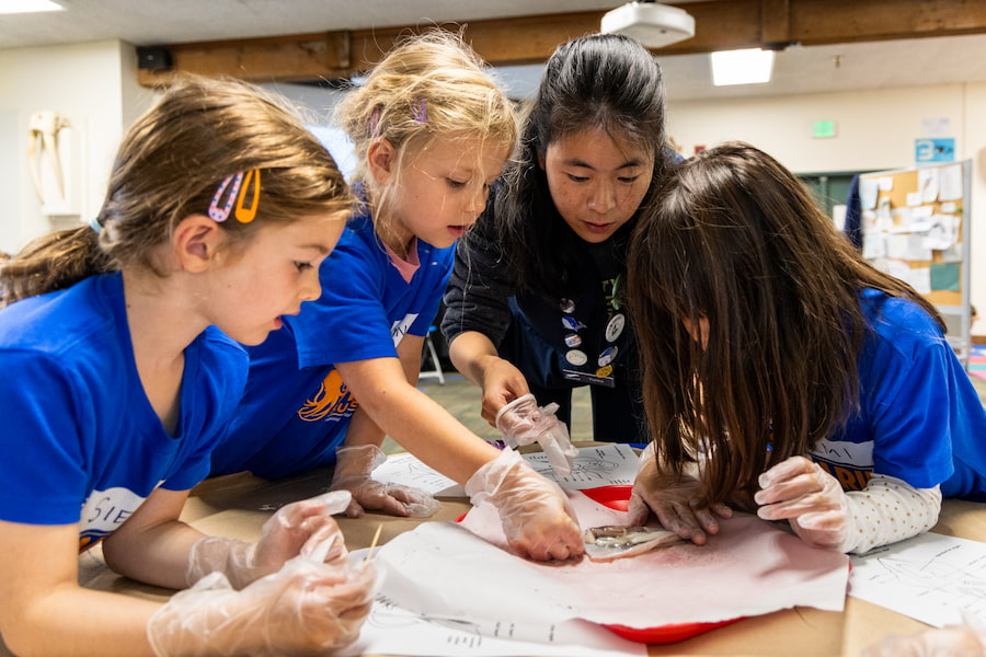 marine-summer-camp-2023-octo