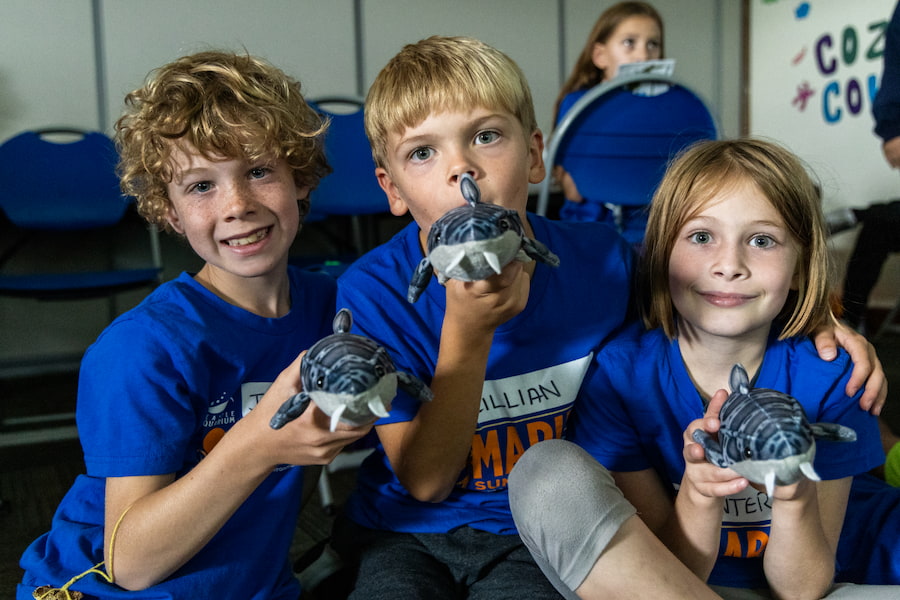Three children sitting on the floor and holding shark plushies.