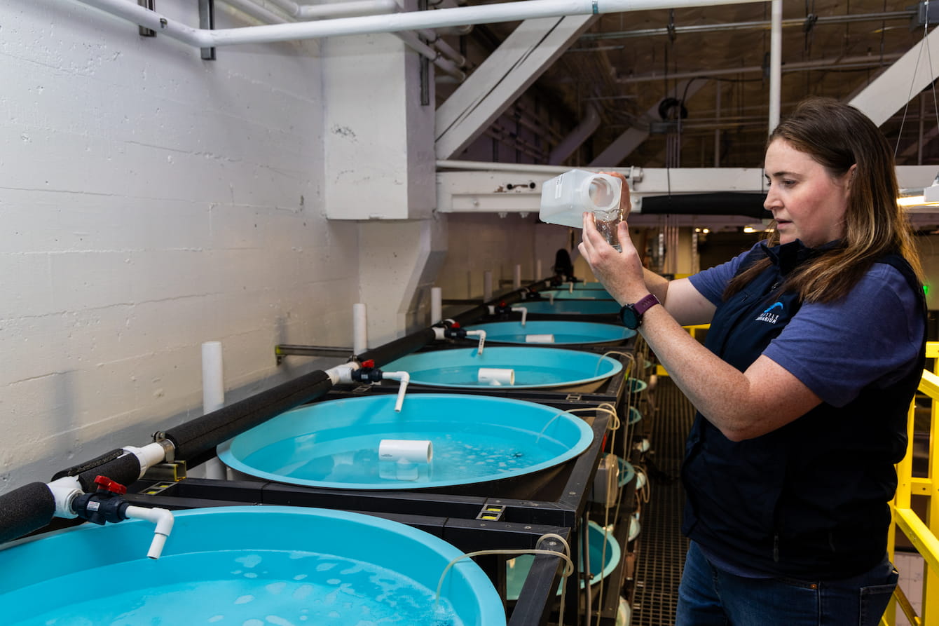 A Seattle Aquarium scientist taking water samples from a pool.