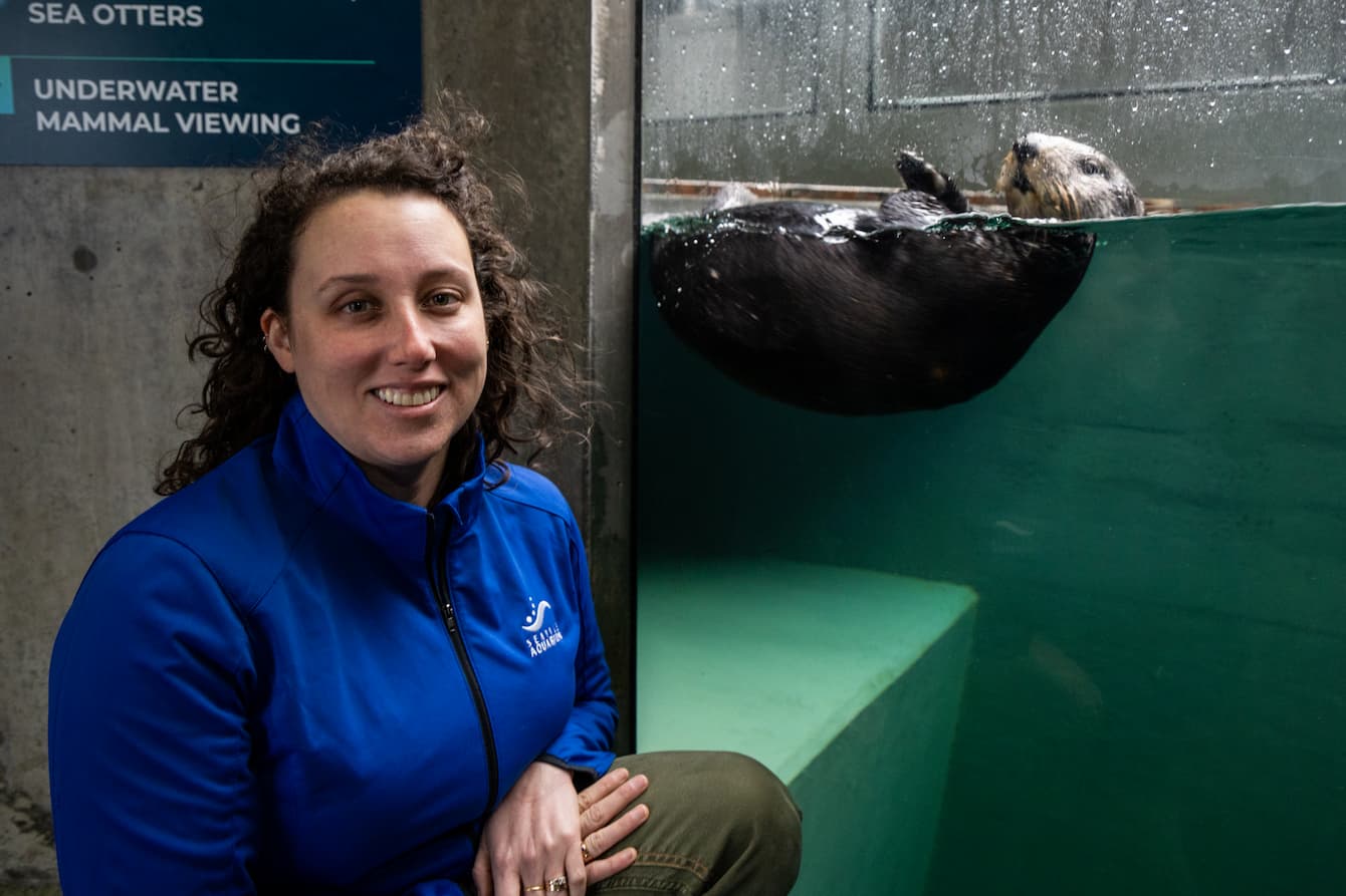 Lindy crouching next to the sea otter habitat at the Seattle Aquarium. Sekiu the sea otter swims behind her.