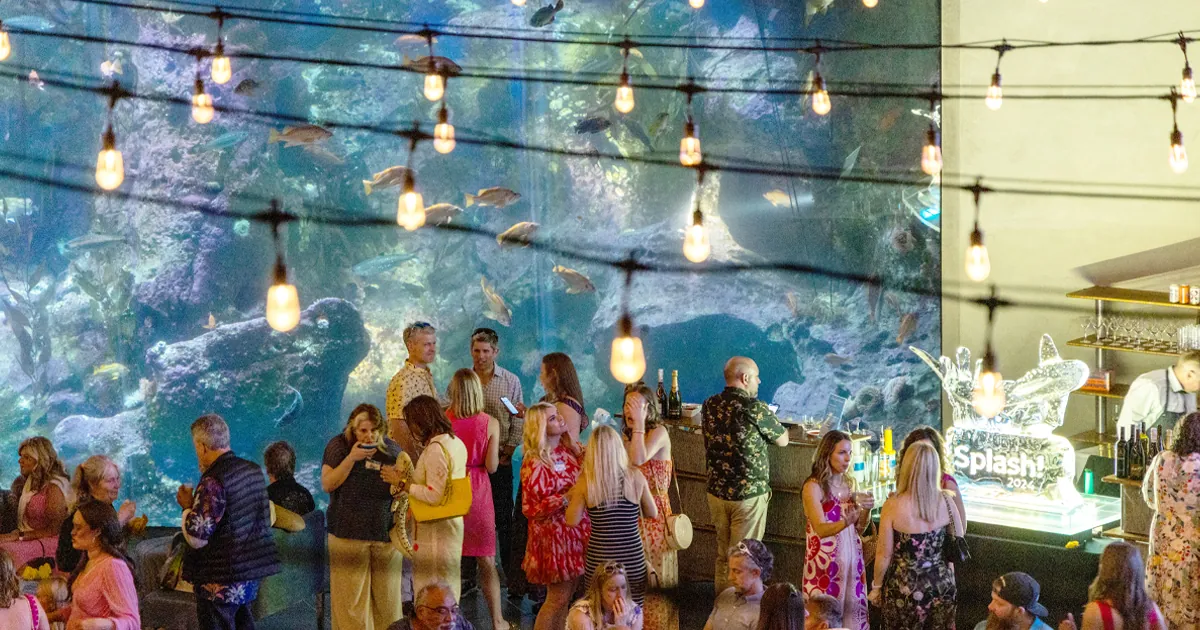 Party goers enjoying Splash, an annual fundraising party, at the Seattle Aquarium, in front of the Aquarium's Window on Washington Waters habitat.
