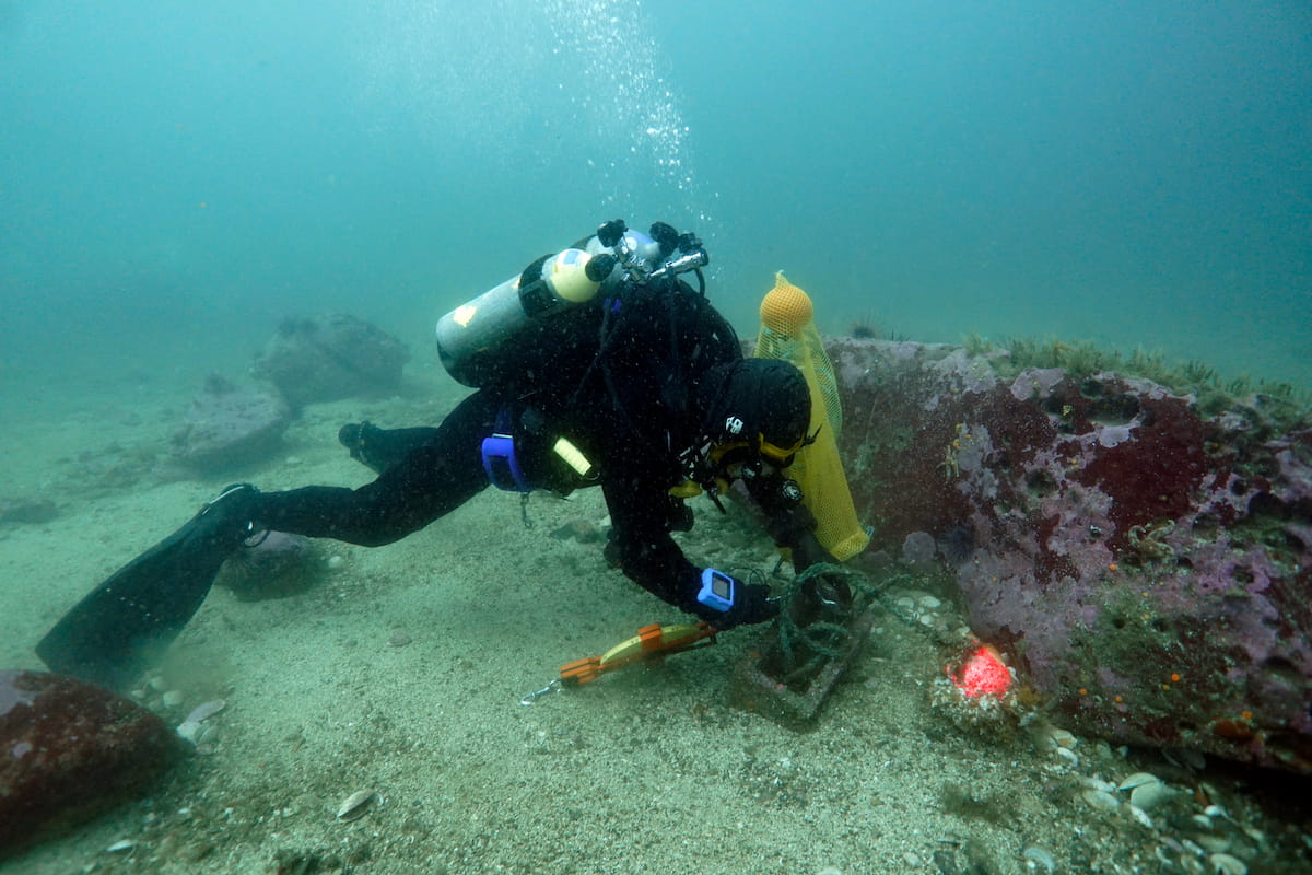 A diver placing a survey marker on the seafloor.