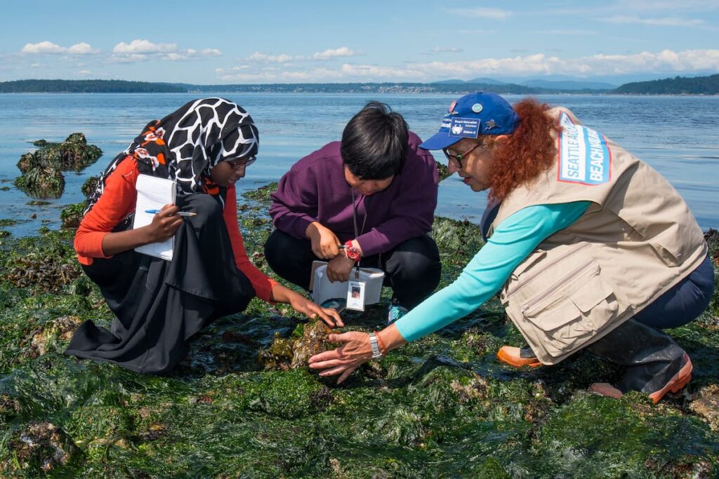 A Beach Naturalist in a vest and a blue hat examining a tide pool with two children.
