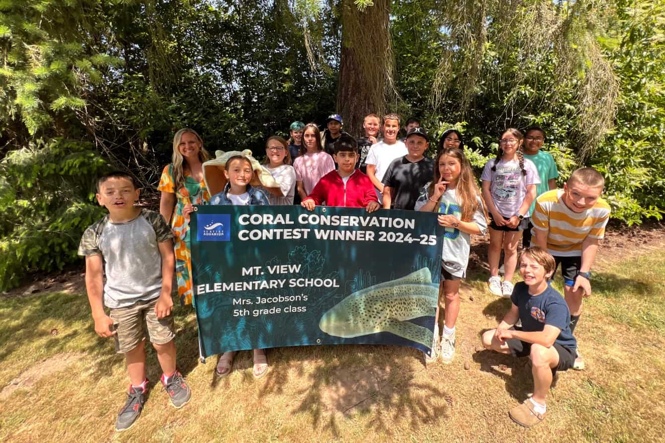 Mt. View Elementary's winning class standing in front of trees holding a banner.