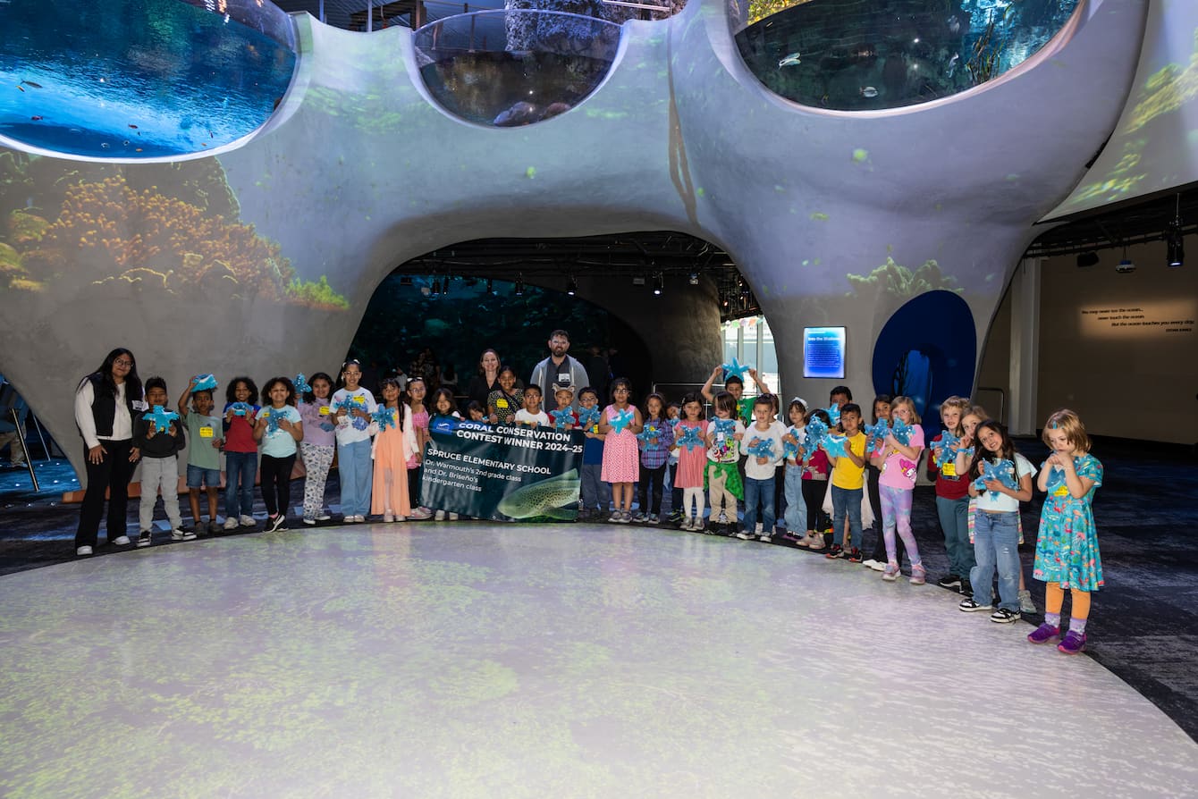 Spruce Elementary's winning class standing in One Ocean Hall holding a banner.