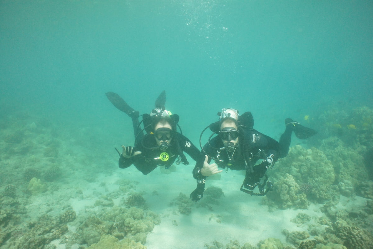 Jeff and Joel diving underwater.