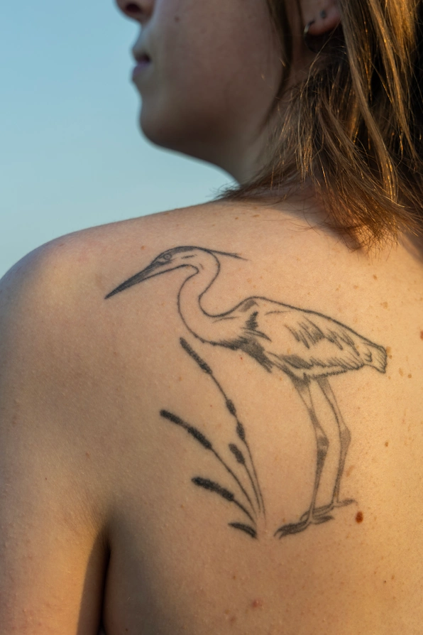 A tattoo of a great blue heron standing near cattails, located on Molly's left shoulder blade.