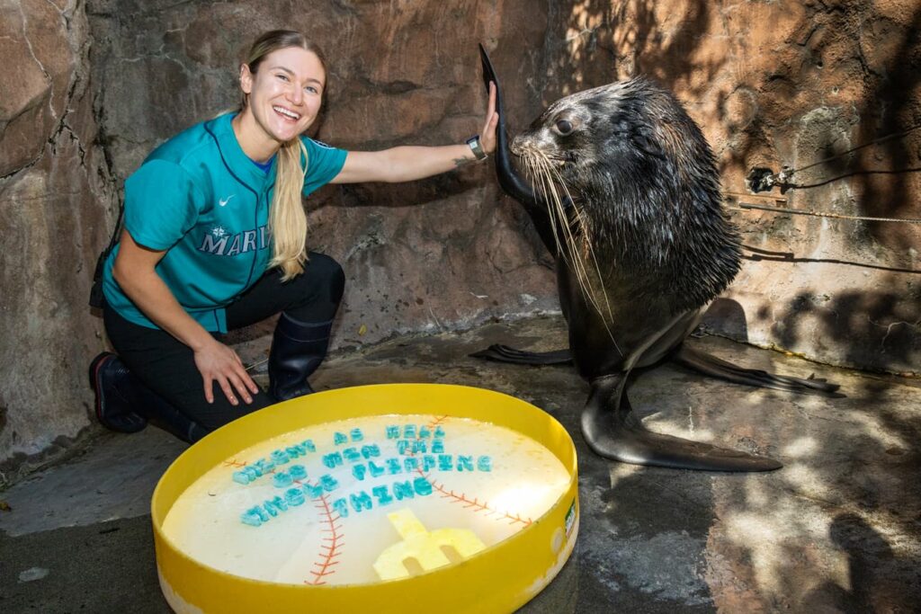 Animal Care Specialist Katie high-fiving northern fur seal Flaherty while sitting in front of a large ice treat. The ice treat is shaped like a baseball and reads "Might as well go win the whole flipping thing" above the Mariners logo.