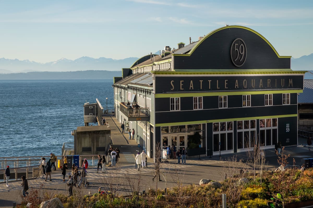 The Seattle Aquarium's Pier 59.