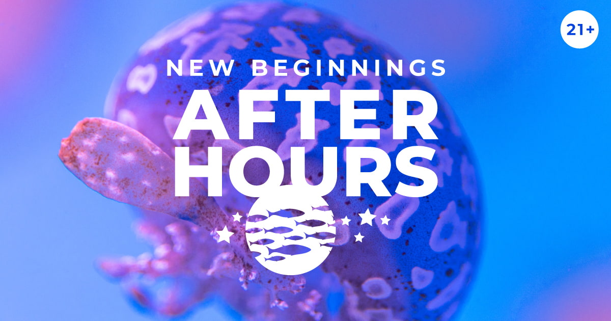 After Hours: New Beginnings event image