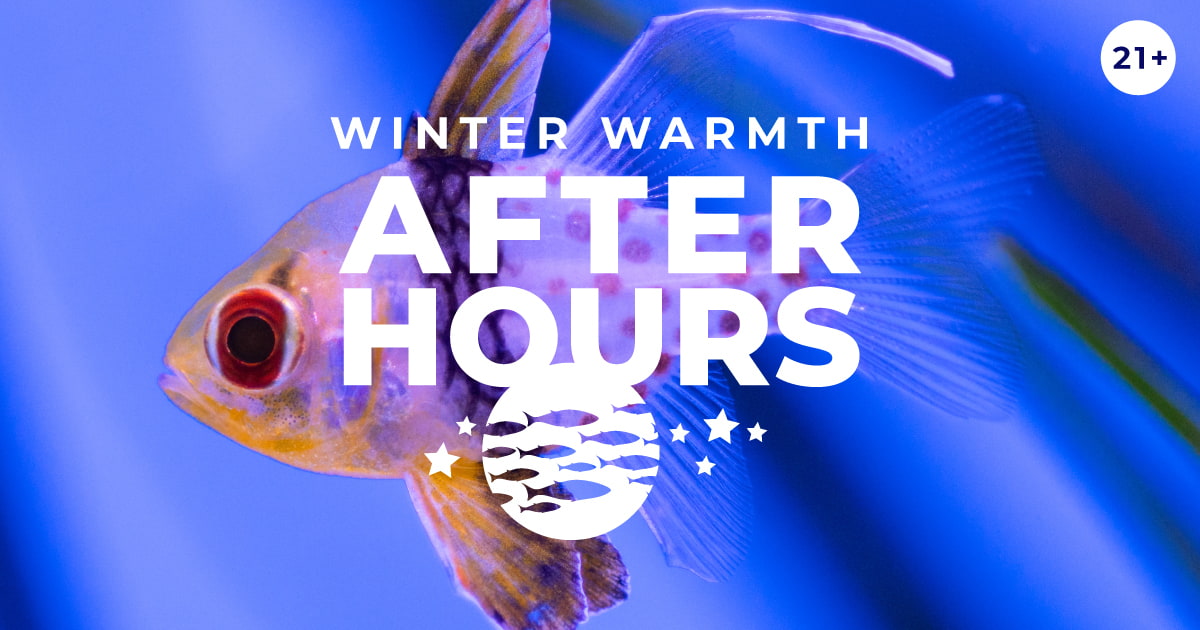 After Hours: Winter Warmth event image
