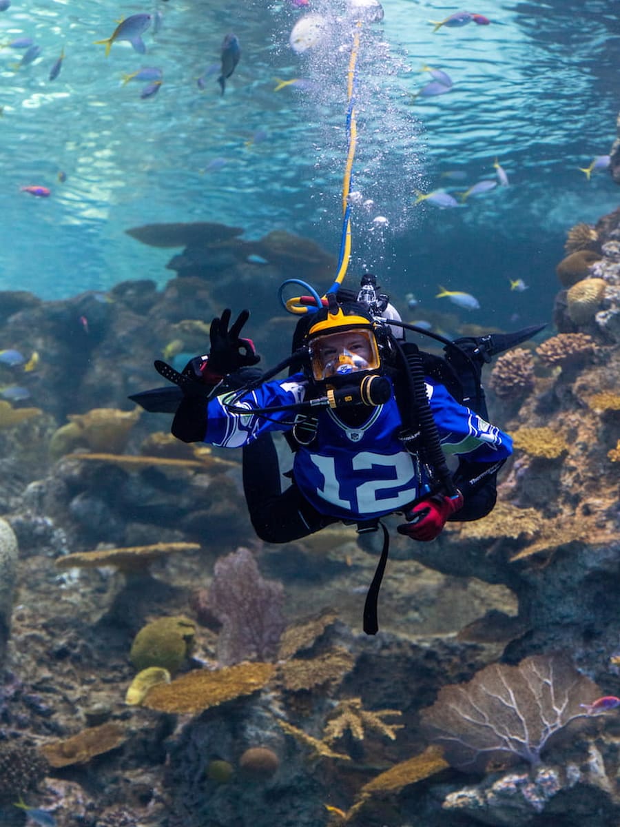 A Seattle Aquarium diver in The Reef wearing a Seahawks jersey.