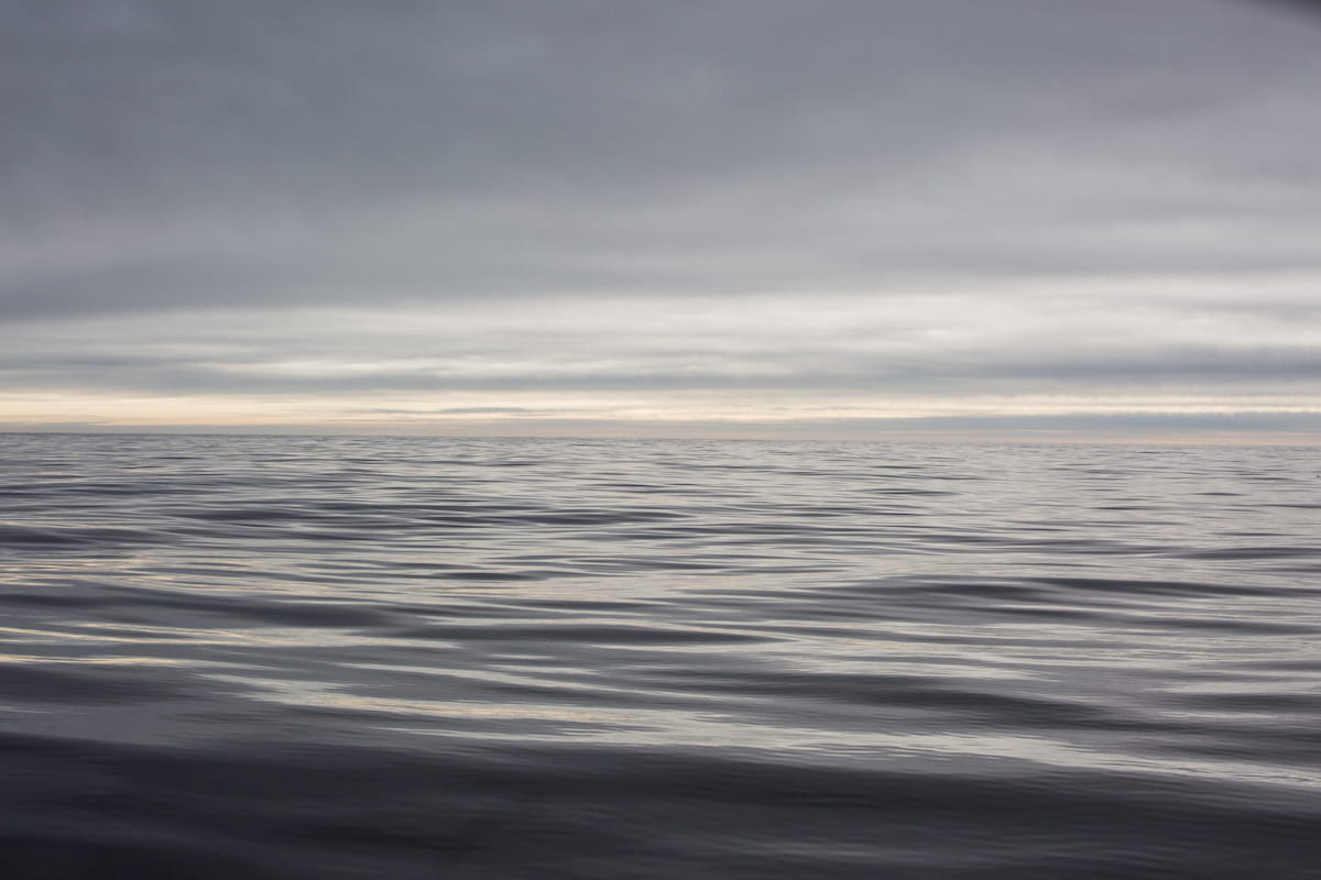 Quiz: How much do you know about plastics in the ocean?