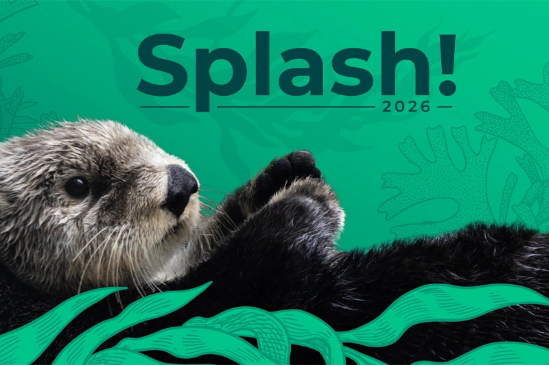 Splash! 2026 event image