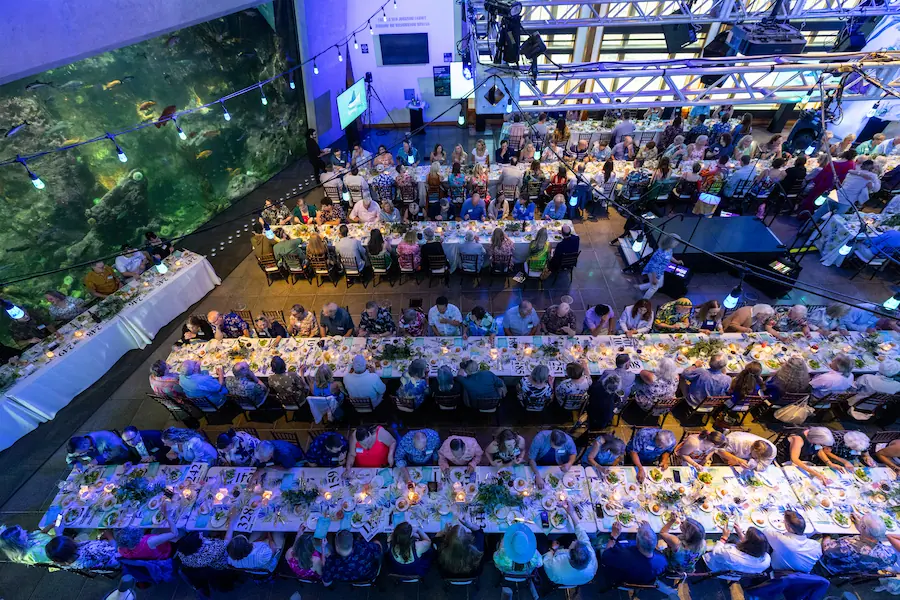 Attendees of the Seattle Aquarium's annual Splash fundraiser sitting at tables next to the Window on Washington Water habitat enjoying dinner during the evening's events.