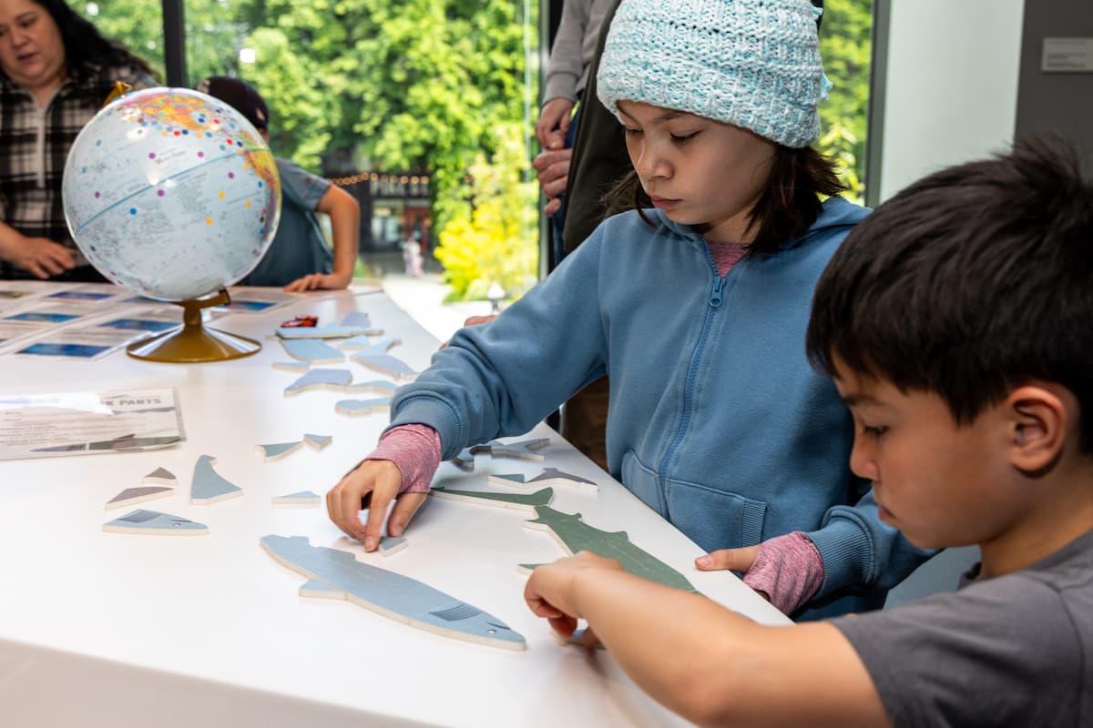 Asian American Pacific Islander Community Days event image