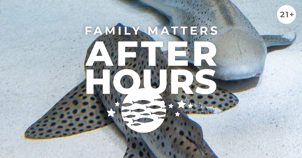 After Hours: Family Matters event image