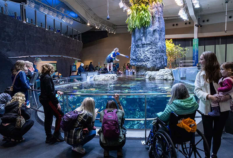 admission-crowd-ocean-pavilion