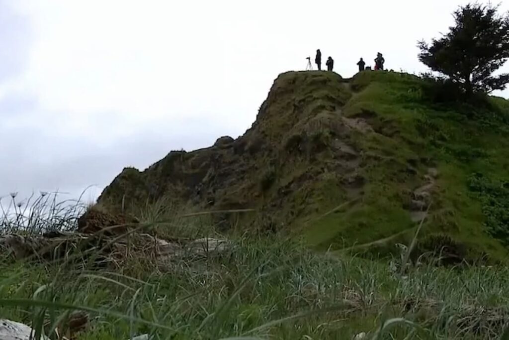 Seattle Aquarium scientists standing on a hill.
