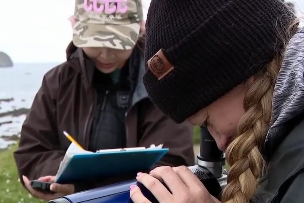 Two scientists recording data on a beach.