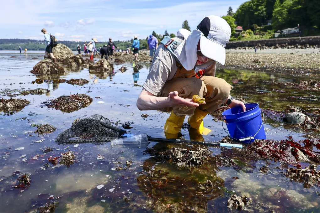 A person crouching on the beach with a blue bucket in one hand.